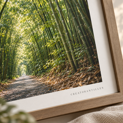 Chaguamaras Bamboo Forest