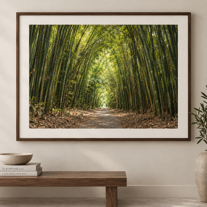 Chaguamaras Bamboo Forest