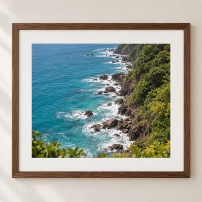 Chaguamaras Coastline B