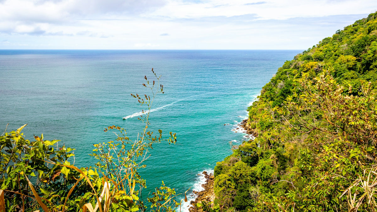 Chaguamaras Coastline A