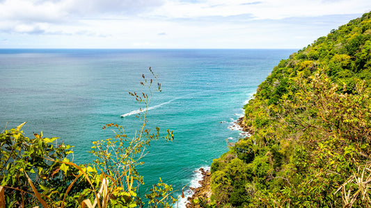 Chaguamaras Coastline A