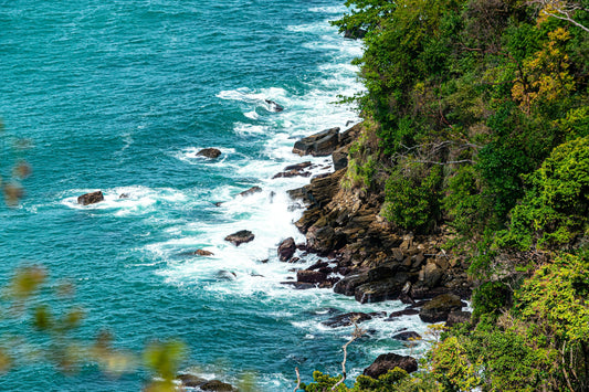 Chaguamaras Coastline B